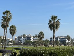 235-13-01-2026 IMG_3431